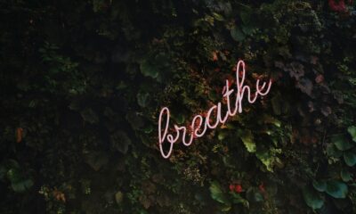 seminář o dýchání